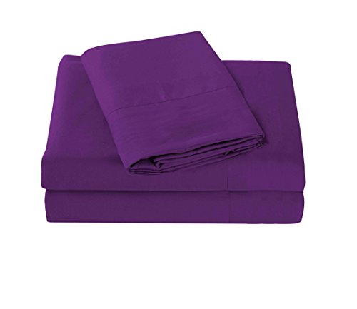 solid90-purpleT